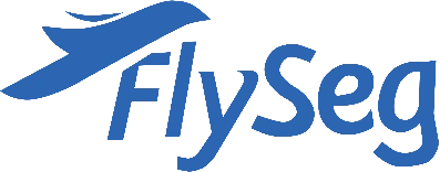 FlySeg